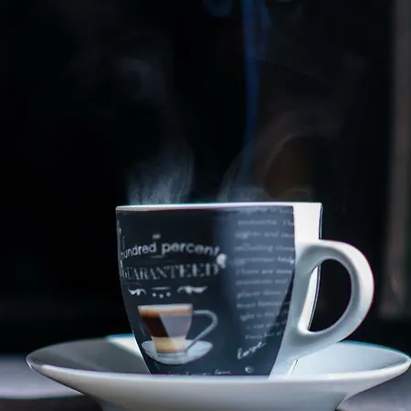 公寓 Seavibes Mamaia Nord 3*