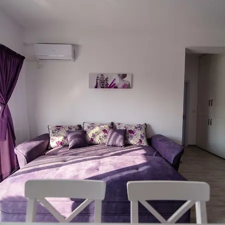 公寓 Seavibes Mamaia Nord 那沃达利